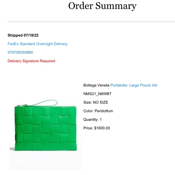 Bottega Veneta Pouch Bag - Picture 11 of 11